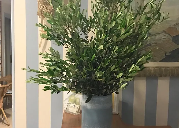 Kon Tiki Alassio